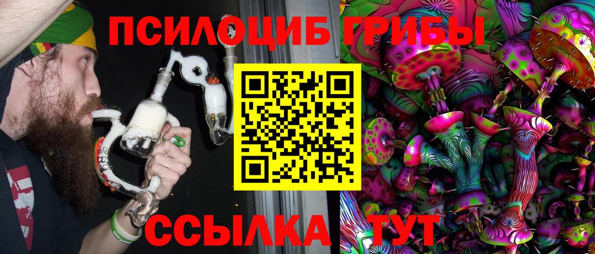 Кимовск  Псилоцибиновые грибы Magic Shrooms  сколько стоит  Вход с VPN 